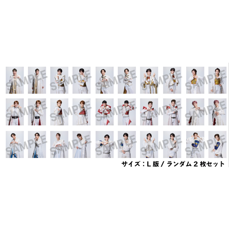 神のみぞ知るランダムブロマイド（全30種） | TAPIRS STORE