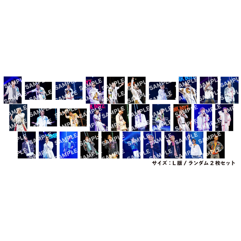 ステージショット ランダムブロマイド（全30種） | TAPIRS STORE